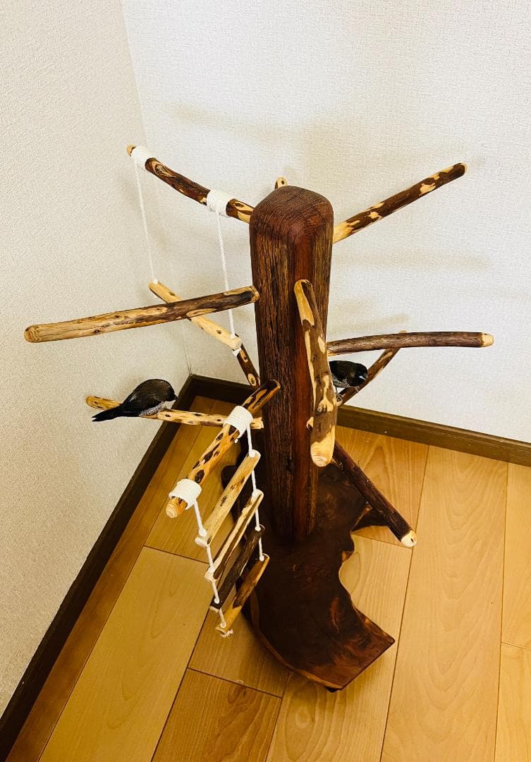 【中型鳥】ブランコ＆はしご付バードアスレチック♬