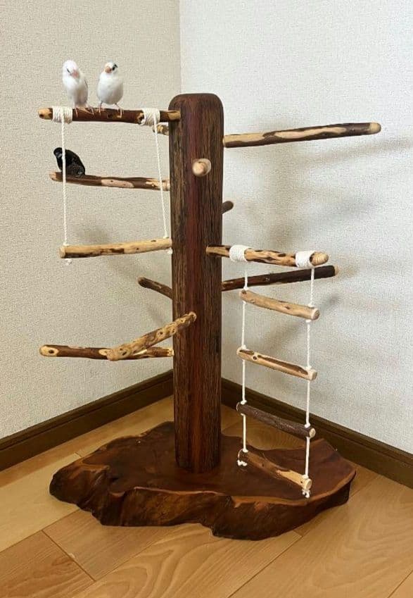 【中型鳥】ブランコ＆はしご付バードアスレチック♬