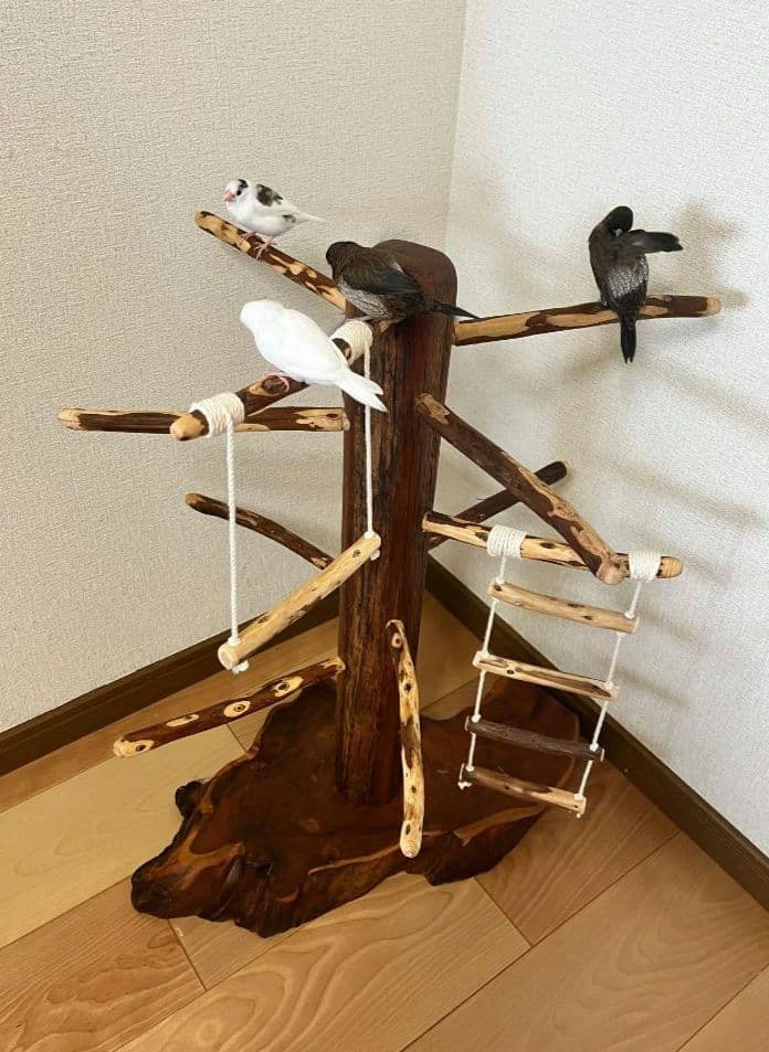 【中型鳥】ブランコ＆はしご付バードアスレチック♬