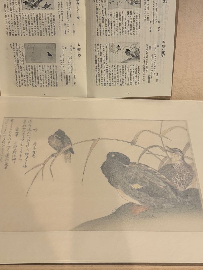 喜多川歌麿画 「絵本百千鳥」手摺木版画 計14枚 解説付