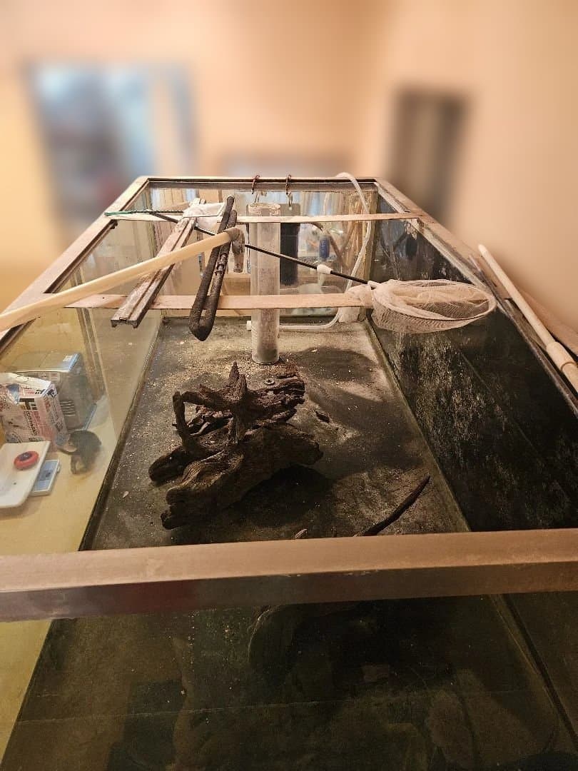 大型オーバーフロー水槽