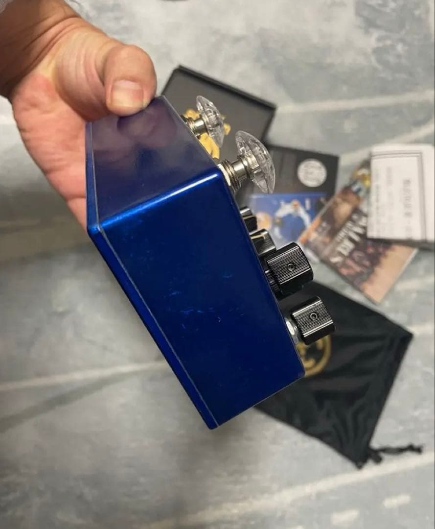 Walrus Audio Slöer （箱付き）