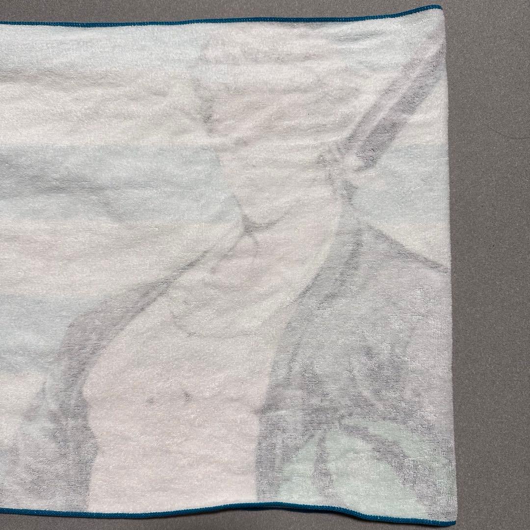 CAPCOM STORE DMC5 Enjoy! Summer! フェイスタオル