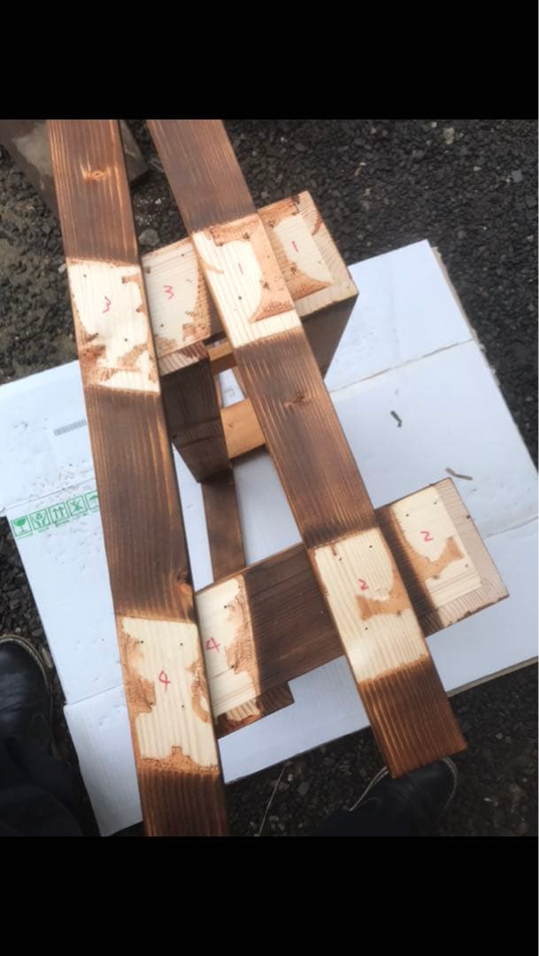 メダカ飼育ラック（小）ケース付