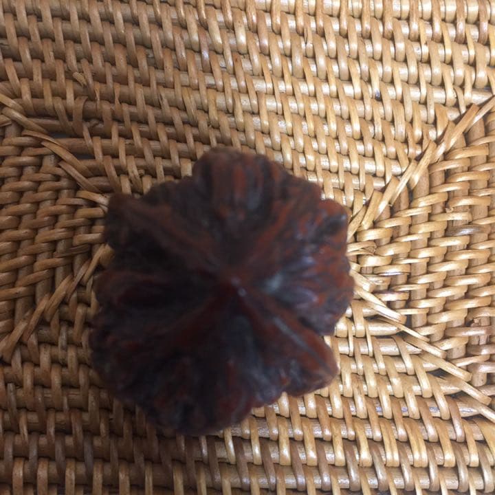 中国骨董 桃核　大型