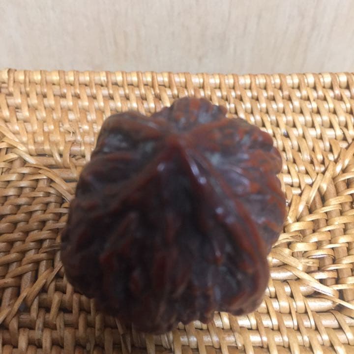 中国骨董 桃核　大型