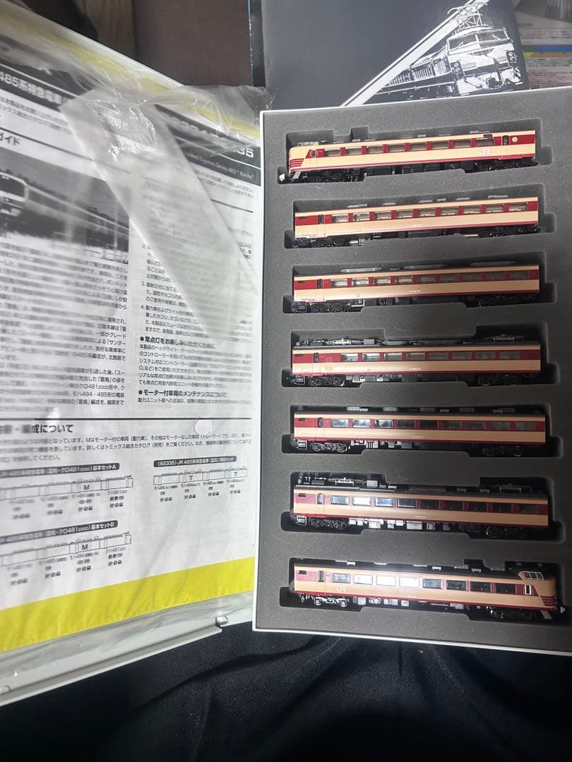 Nゲージ 485系　雷鳥