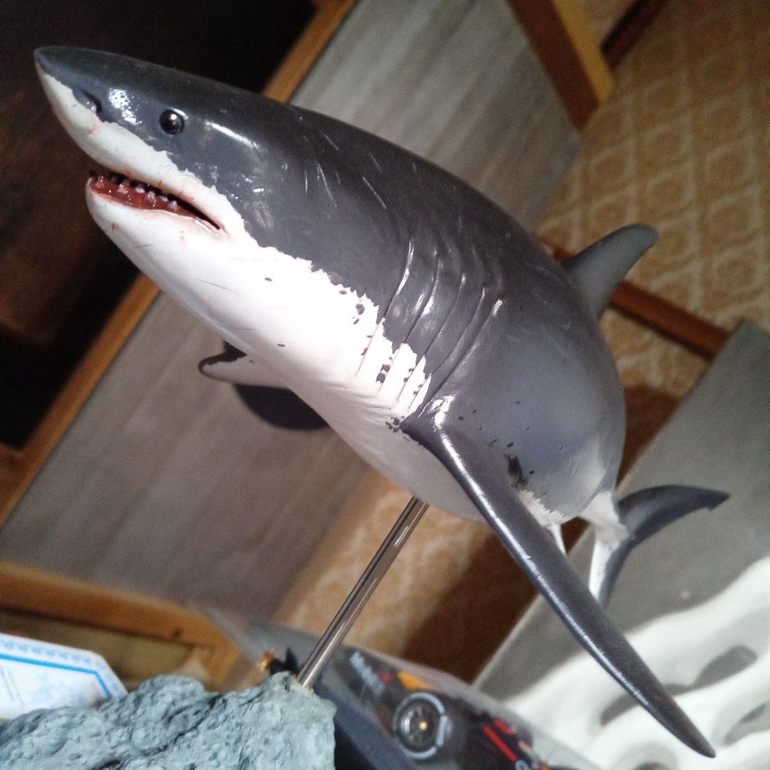 サメ　模型　ホホジロザメ　超絶モデル