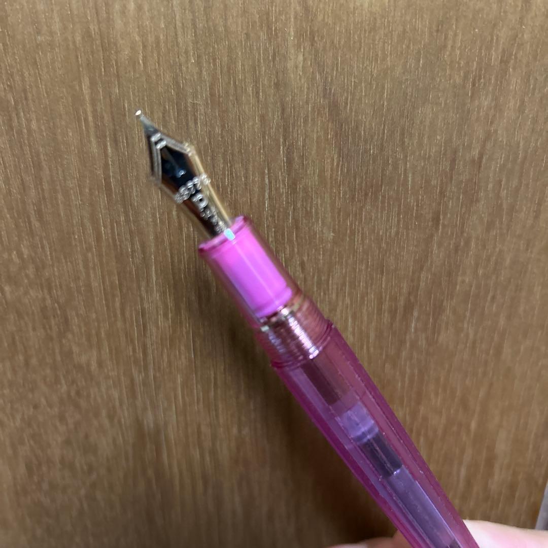 未使用、箱無し　プラチナ万年筆 センチュリー　3776 ニース　リラM字