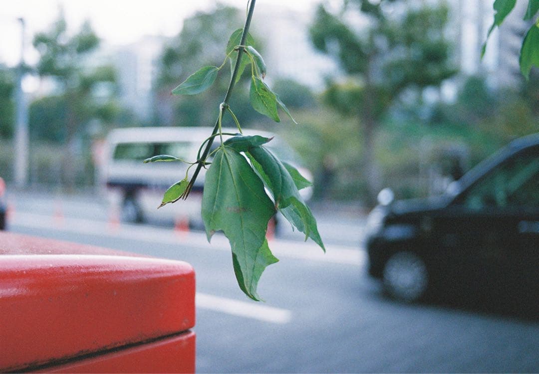PENTAX ME ブラック + smc PENTAX-M 50mm F2