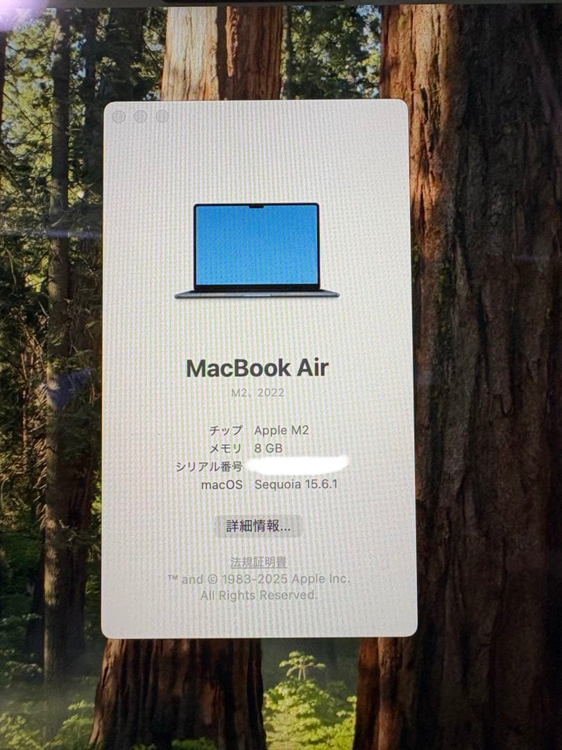 Apple MacBook Air (M2, 13インチ)