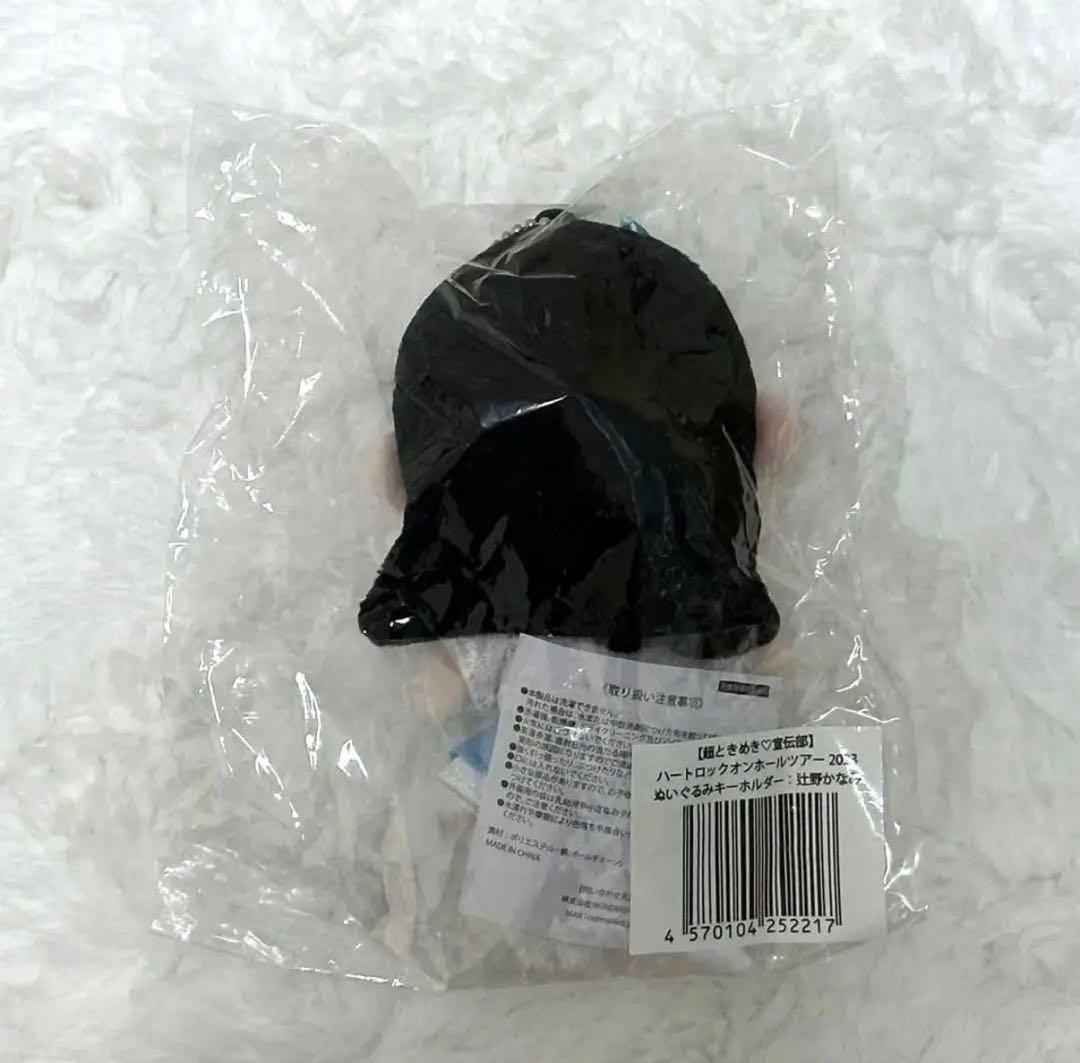 超ときめき宣伝部 超とき宣 辻野かなみ かなみんちびぬい