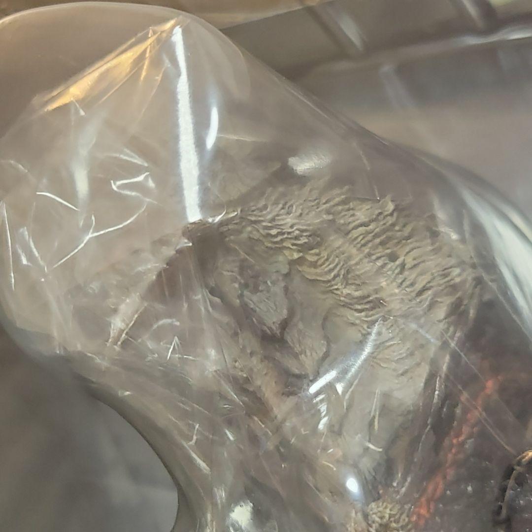 【未開封】フィギュアビルダー　クリエイターズモデル　獄狼竜ジンオウガ（亜種）