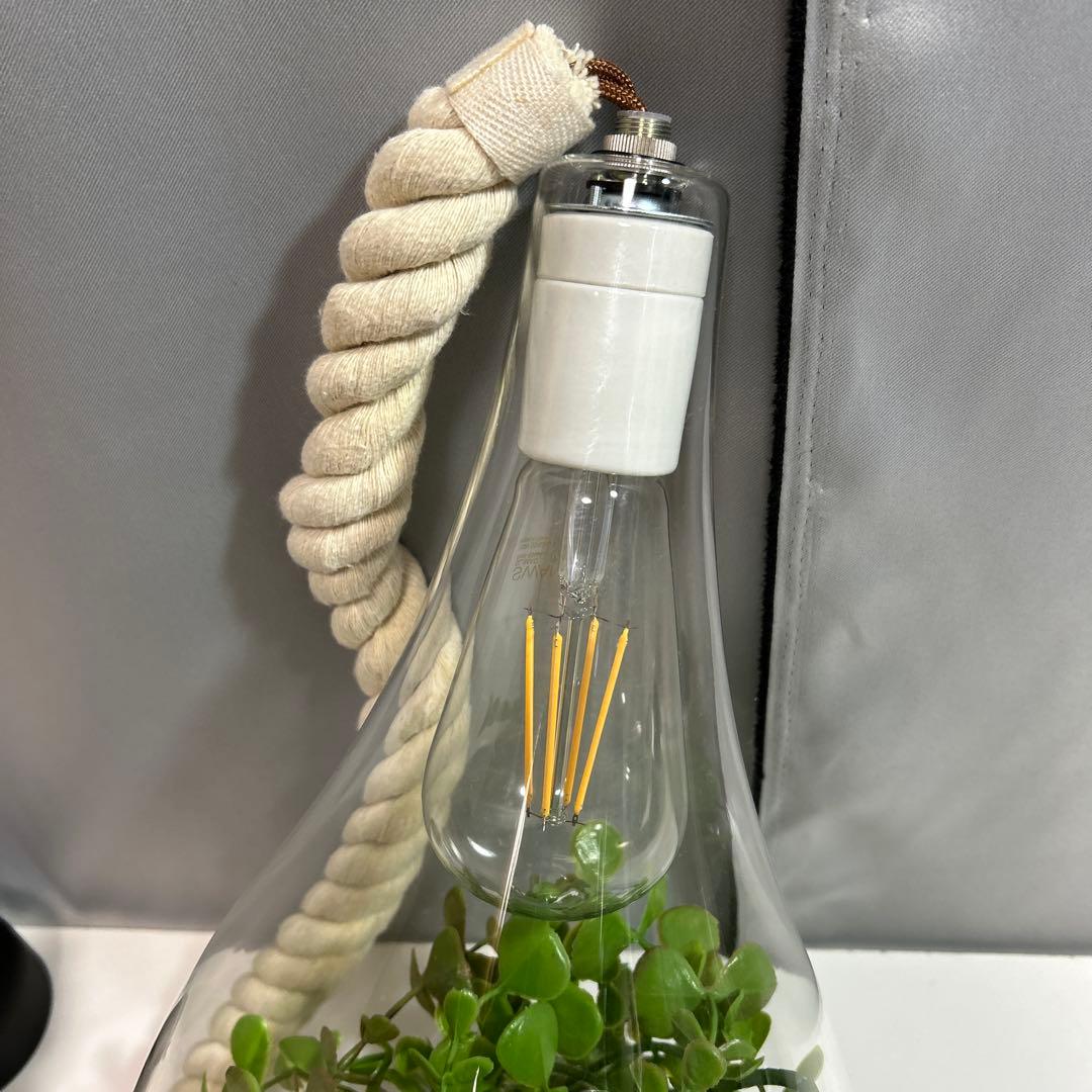 スワン電気 ボタニック ハンギングライト ペンダントライト ガラス ロープ