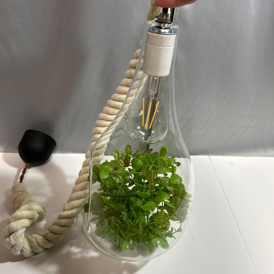 スワン電気 ボタニック ハンギングライト ペンダントライト ガラス ロープ