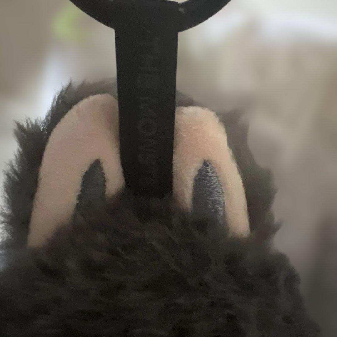 あ*こ様 【正規品】Labubu Big into Energy ラブブ シーク