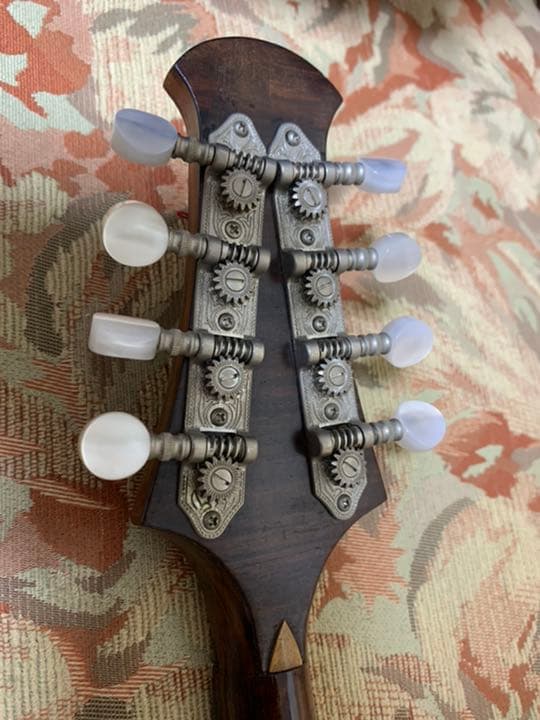 ラファエレ　カラーチェ　マンドリン　Anno19 ケース付き