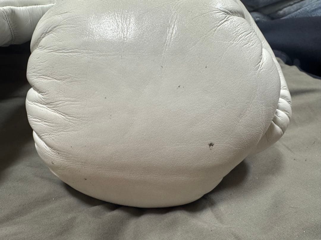 EVERLAST ボクシンググローブ ホワイト 10オンス