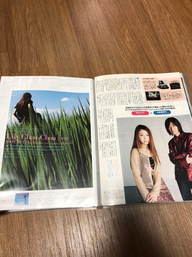 希少 リリイ・シュシュ シングル「グライド」「共鳴(空虚な石) 」B2ポスター