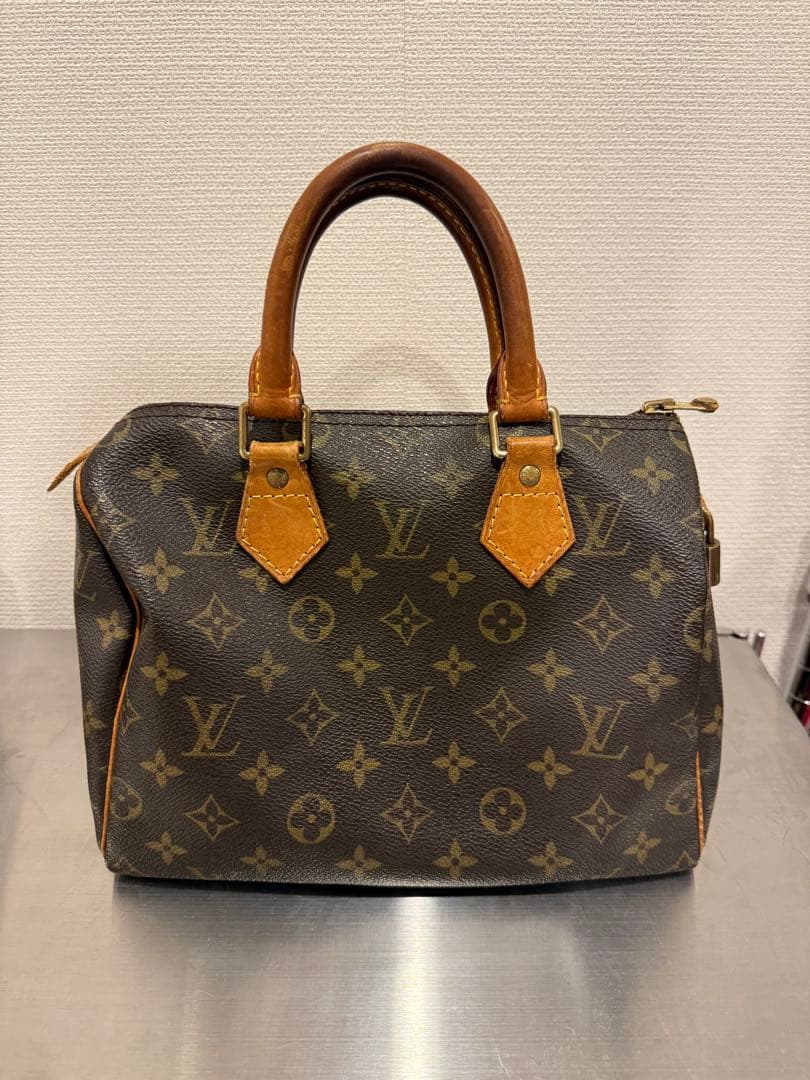 ち*ん様 Louis Vuitton ハンドバック