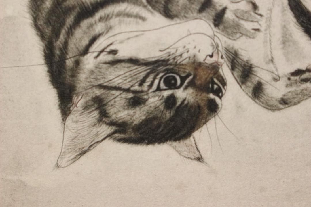 藤田嗣治 エスタンプリトグラフ「仰向けの猫」 100部限定 7/100