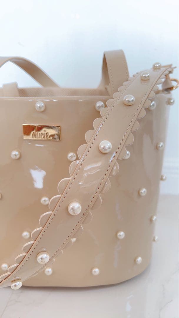 ducie キャリー　小型犬　チワワ　パテントレザーパールキャリー