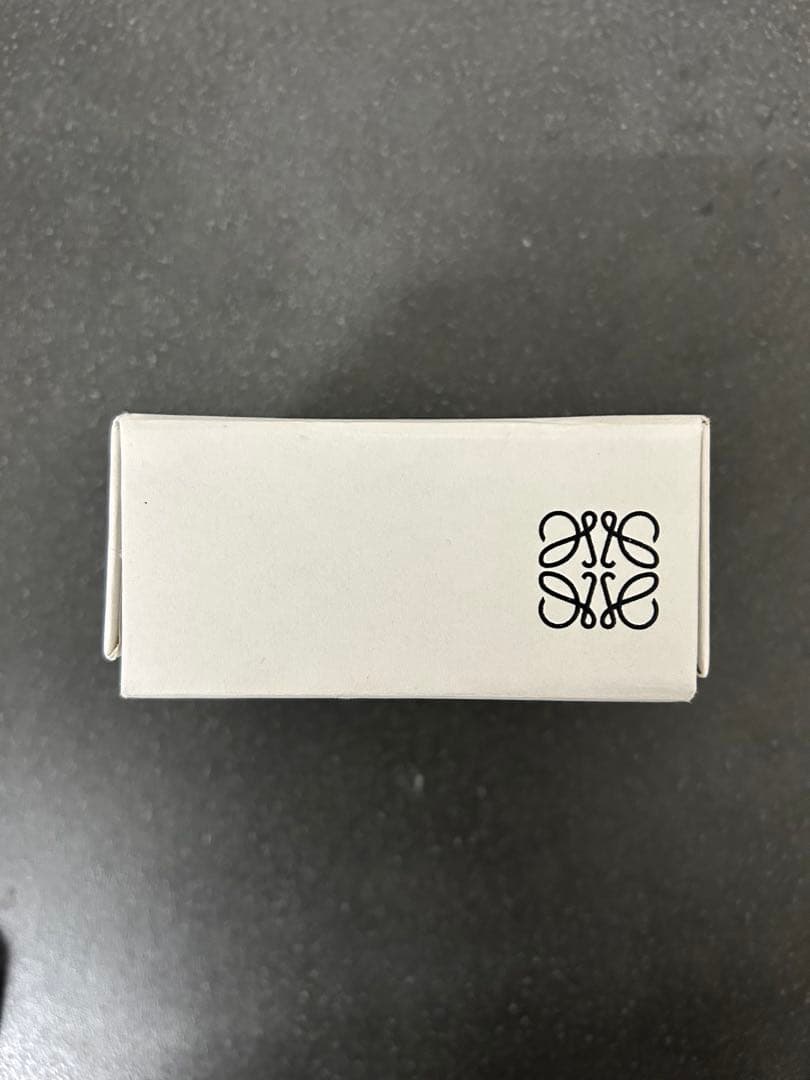 【極美品】LOEWE ロエベ　シルバー ロゴブローチ