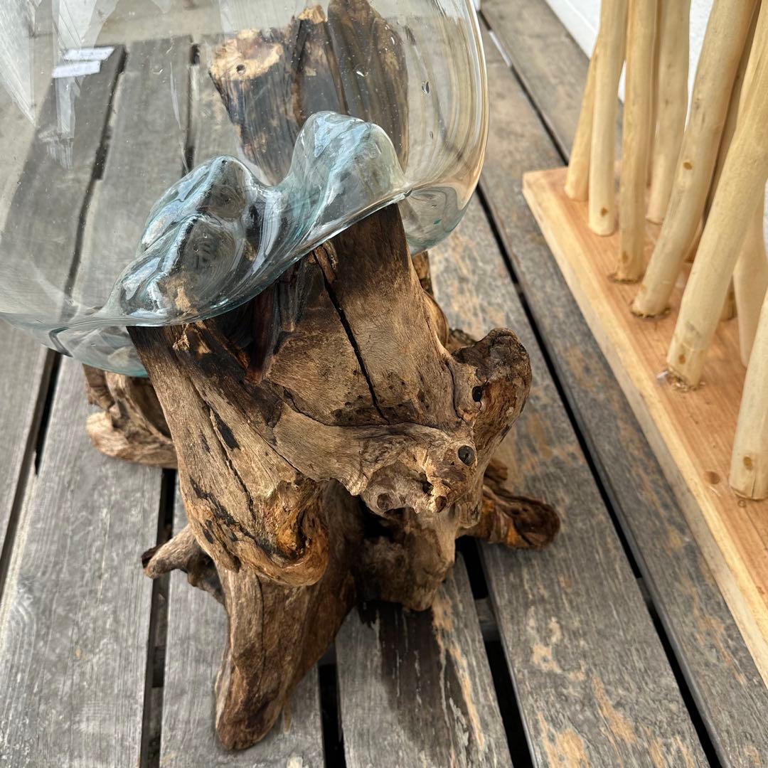 【送料無料】バリ島流木ガラスビッグサイズw50×d40×h62cm メダカ6-A