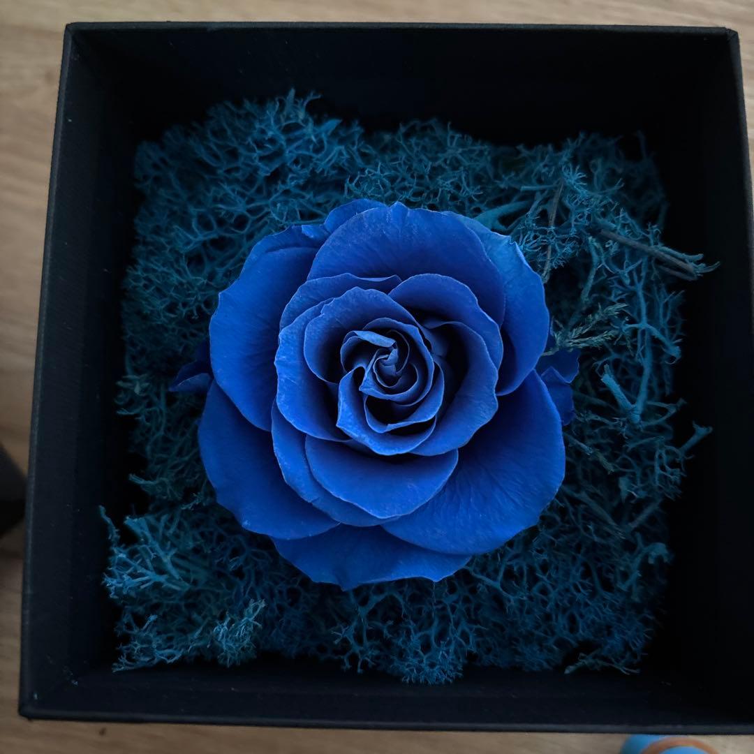 Ado SPECIAL LIVE 2024 グッズ