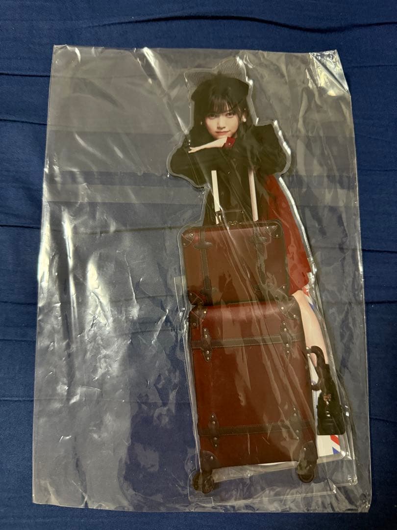 乃木坂46 BIGアクリルスタンド 乃木めくり S賞 Mobile 池田瑛紗