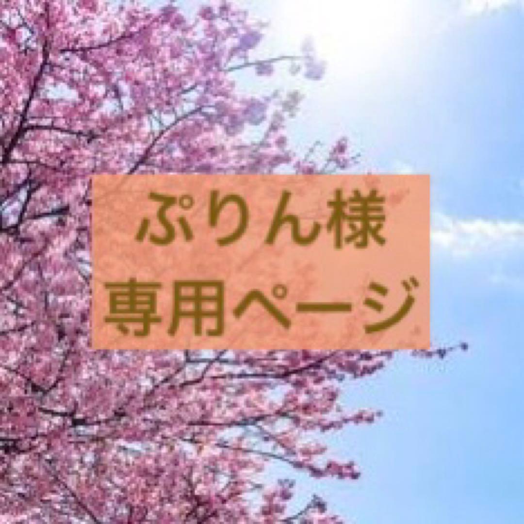 色鉛筆画　ぷりんページ