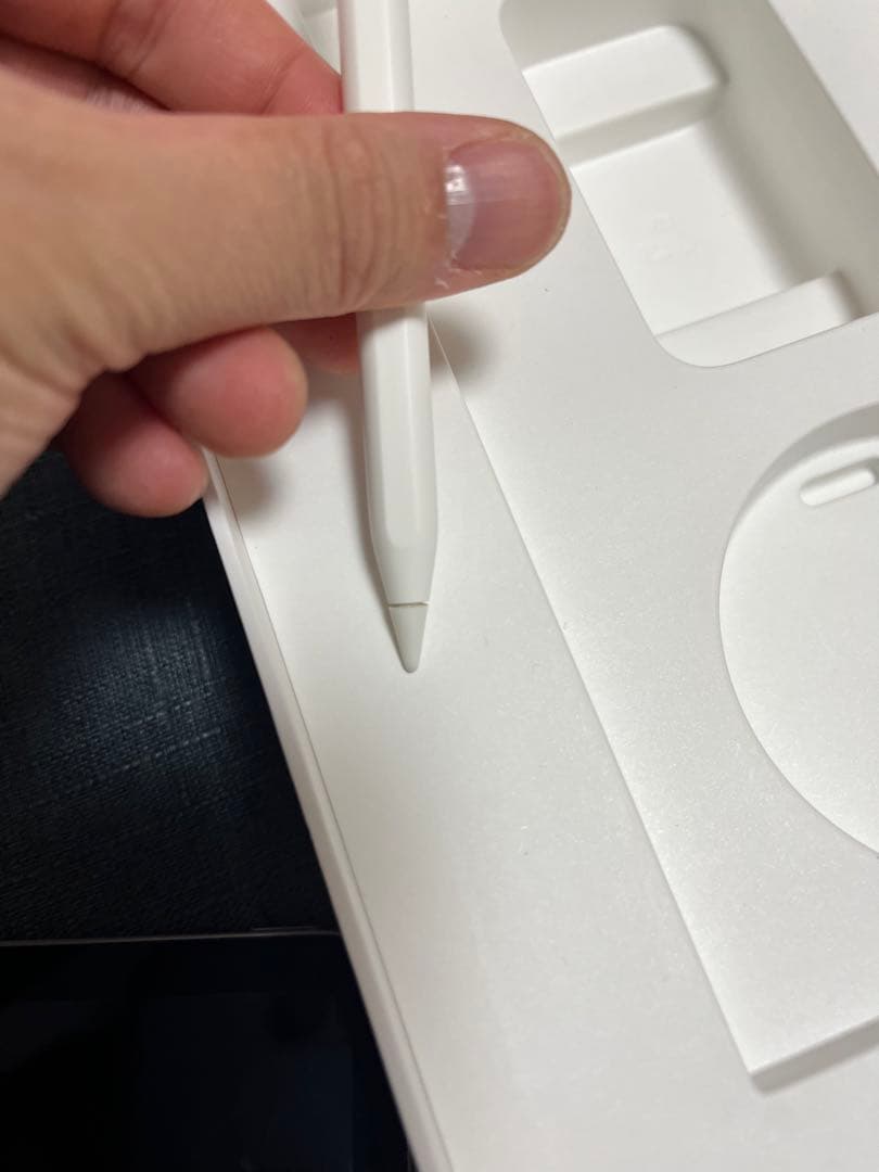 11インチiPad Pro 256GB 第2世代 Apple Pencil