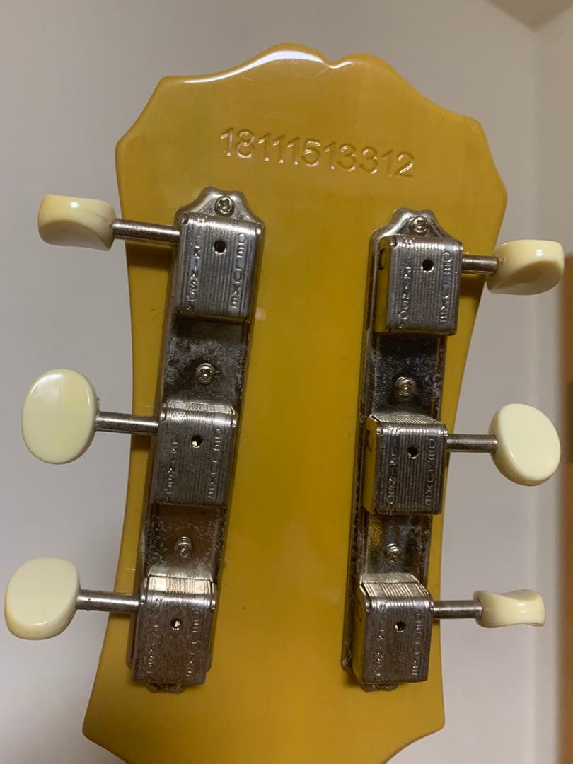 Epiphone Les Paul Special ケース 付