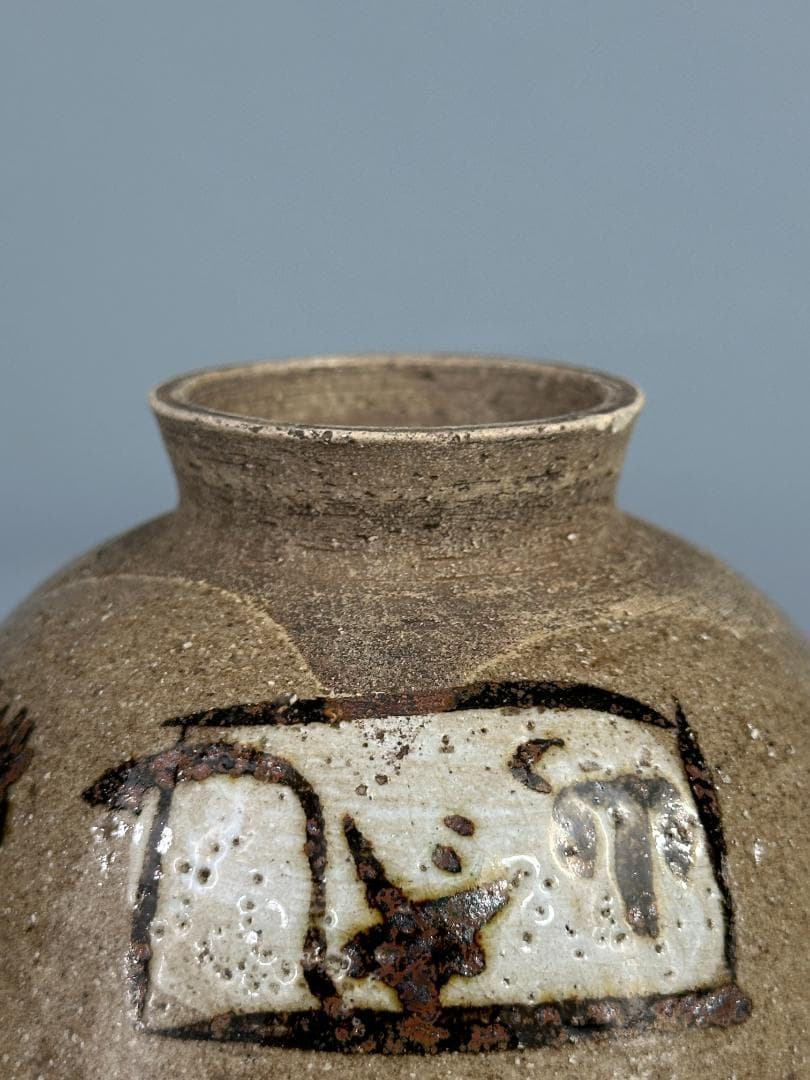 日本美術 尾形乾山写 茶碗 湯呑み 貝図茶碗 木箱入り