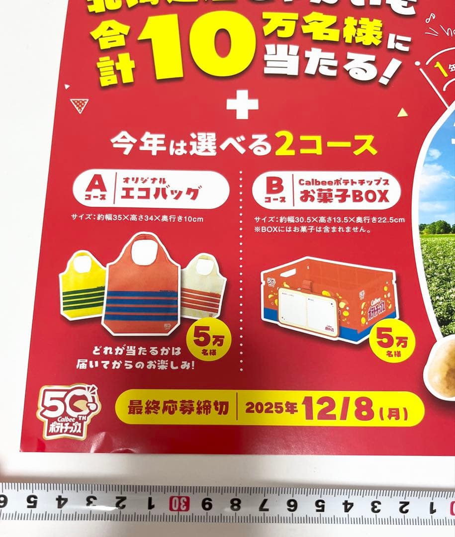 う*ん様 カルビー大収穫祭2025 カルビーポテトチップス 広告ポスター　芦田愛
