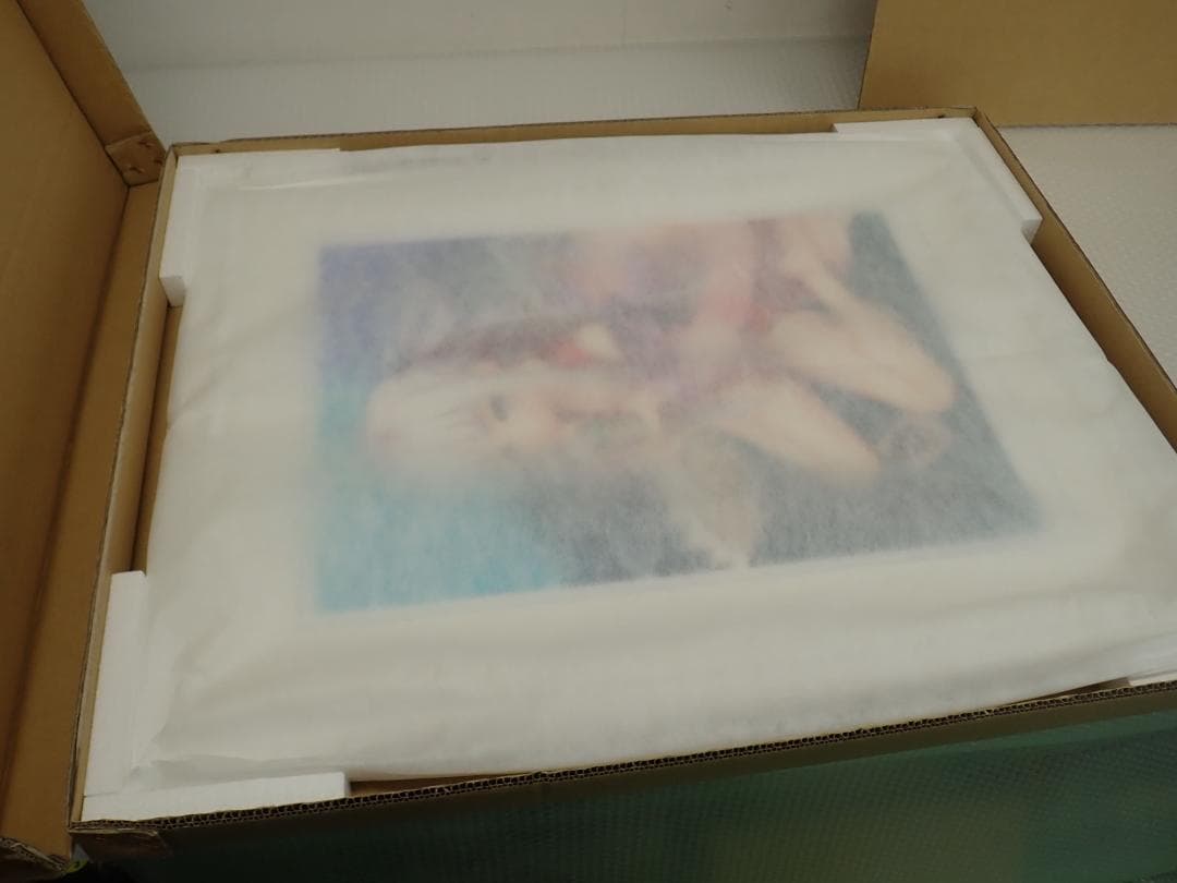 ㉗新品・保証書付 Tony　トニー「ホウメイ」ミクスドメディア アールビバン