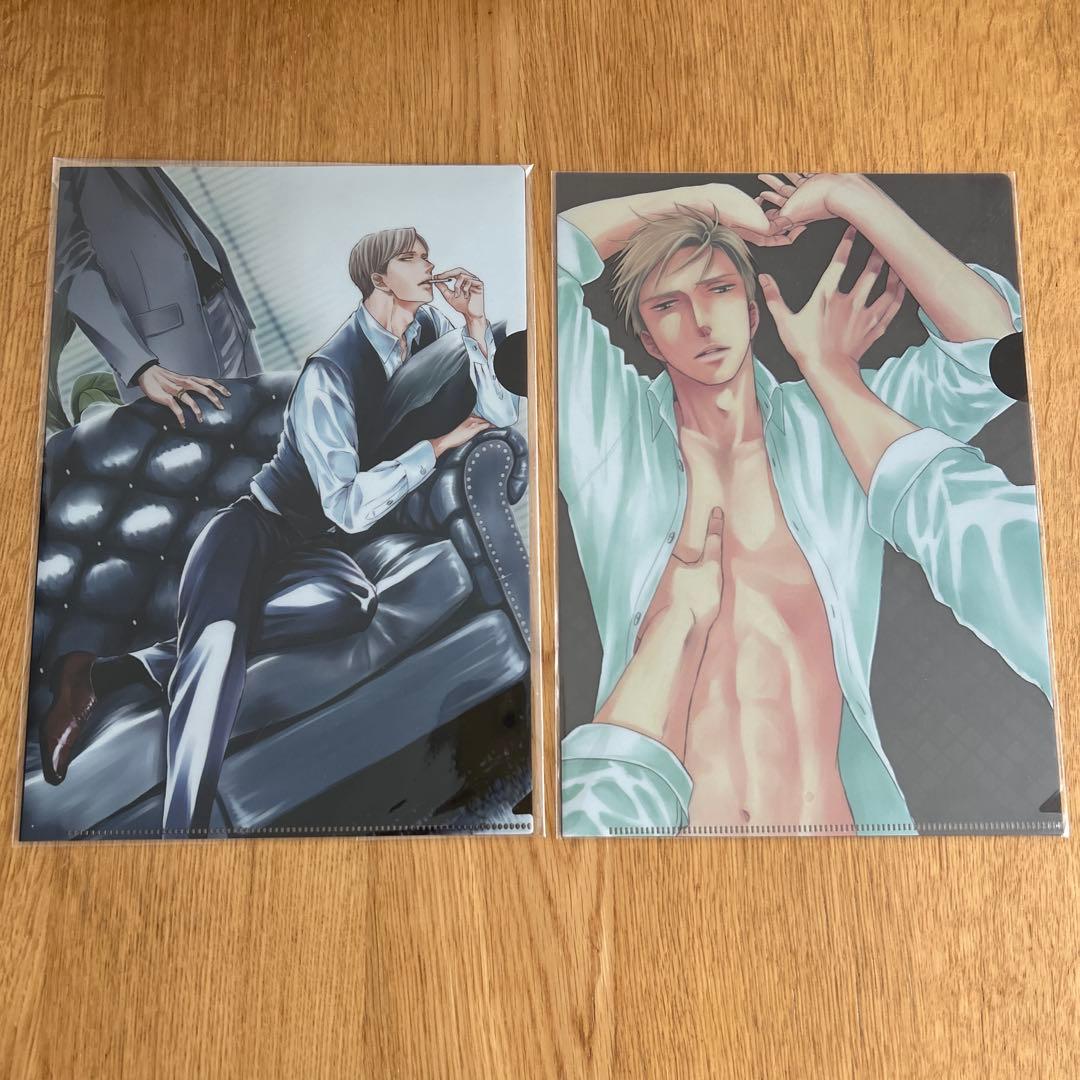 ビ*ビ様 囀る鳥は羽ばたかないクリアファイル19枚セット