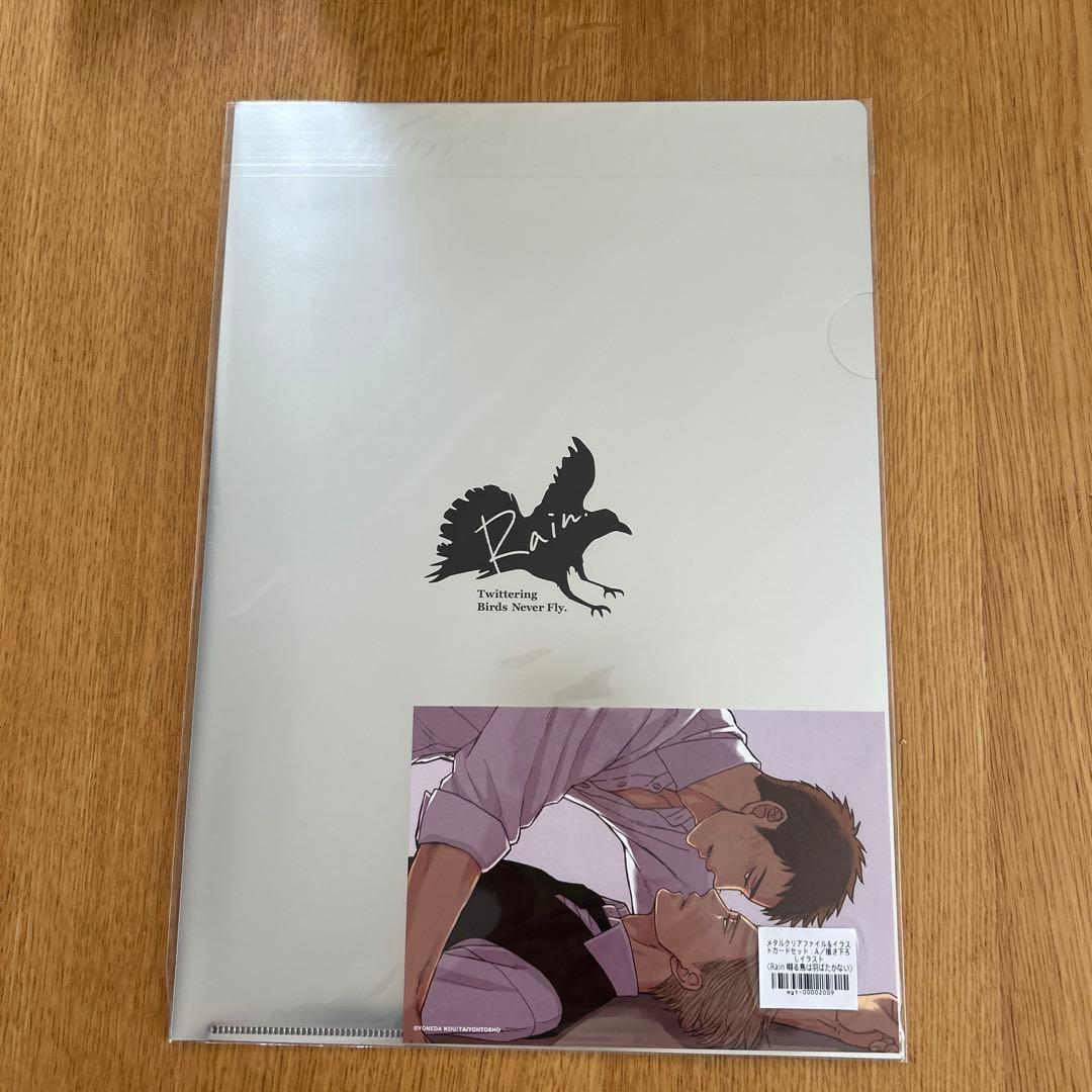 ビ*ビ様 囀る鳥は羽ばたかないクリアファイル19枚セット