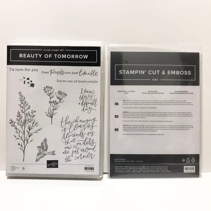 300【新品未使用】  スタンピンアップ    スタンプセット ダイ