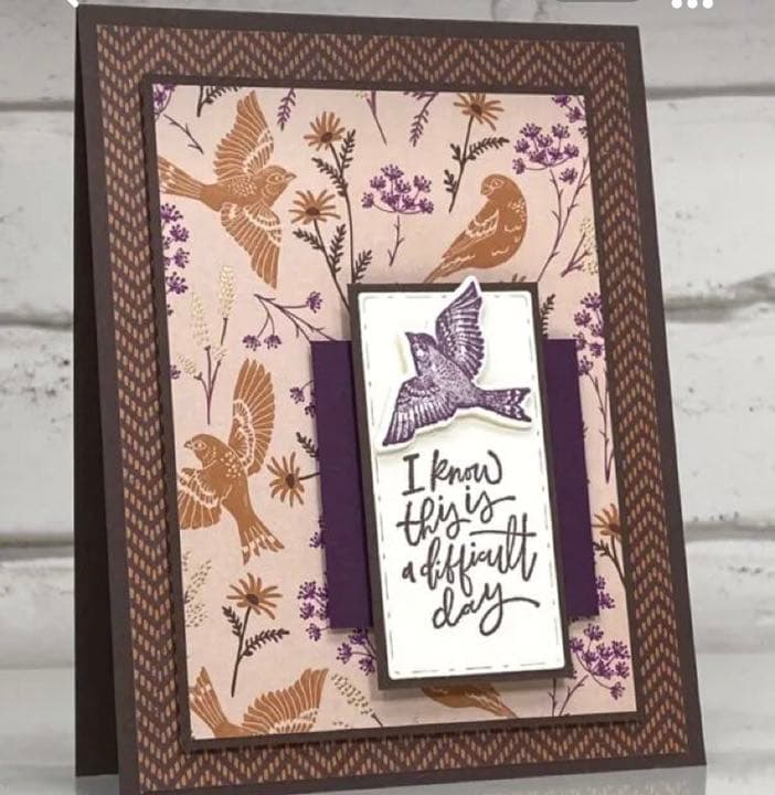 300【新品未使用】  スタンピンアップ    スタンプセット ダイ