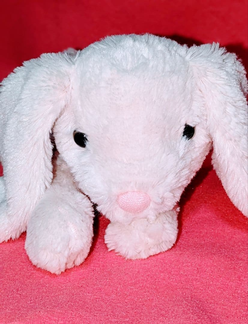 ♡超希少✮廃盤品♡ニトリ♡クタクタぬいぐるみ♡激可愛ウサギちゃん♡Мサイズ♡♡