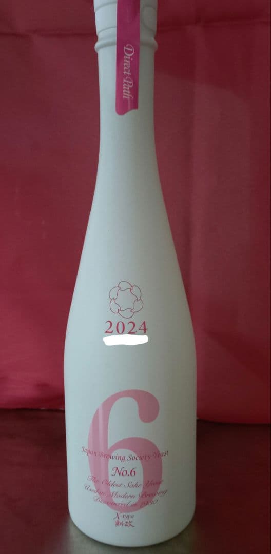 新政No.6 X-type ダイレクトパス 2024年