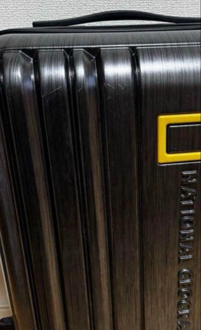 NATIONAL GEOGRAPHIC キャリーケース シルバー