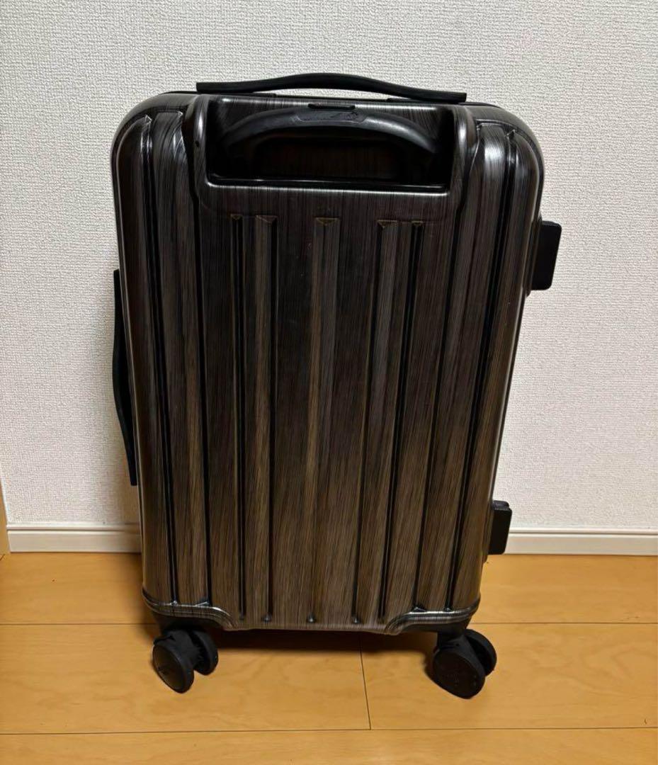 NATIONAL GEOGRAPHIC キャリーケース シルバー