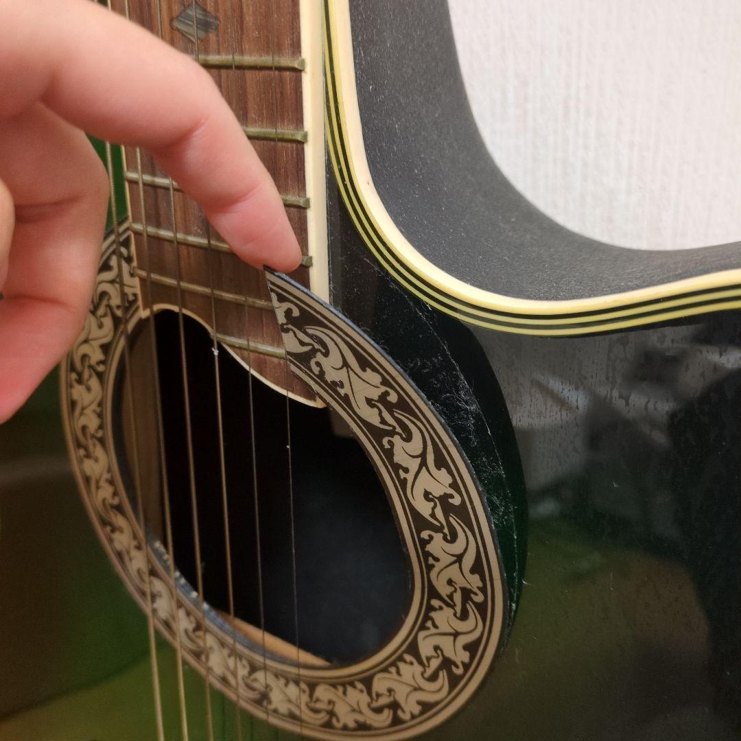 Pro martin ea350grs エレアコ ギター グリーン