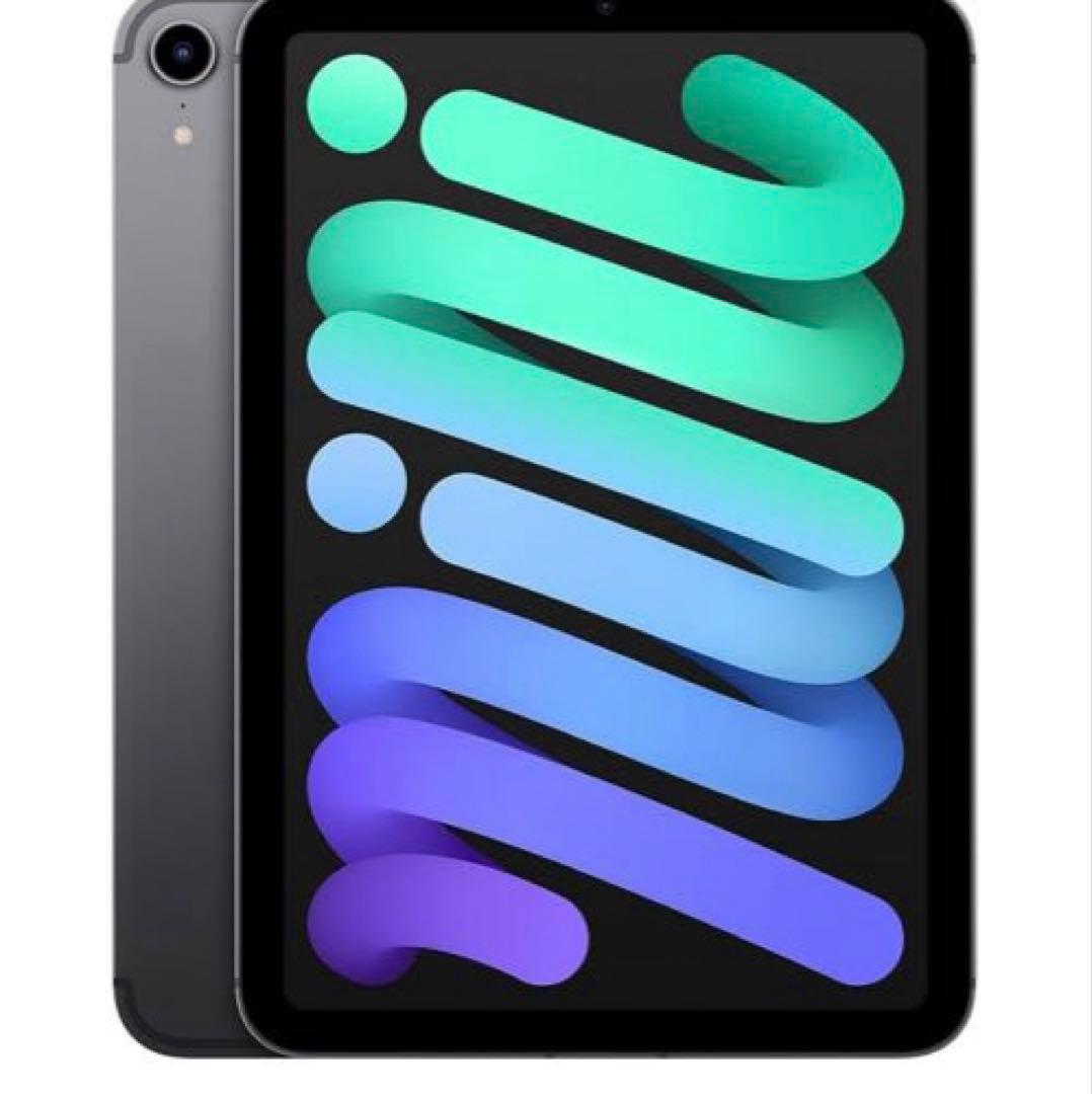 Apple 2021 iPad mini スペースグレイ　 256GB