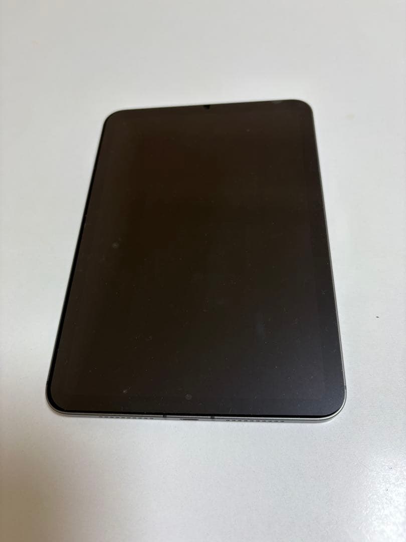 Apple 2021 iPad mini スペースグレイ　 256GB