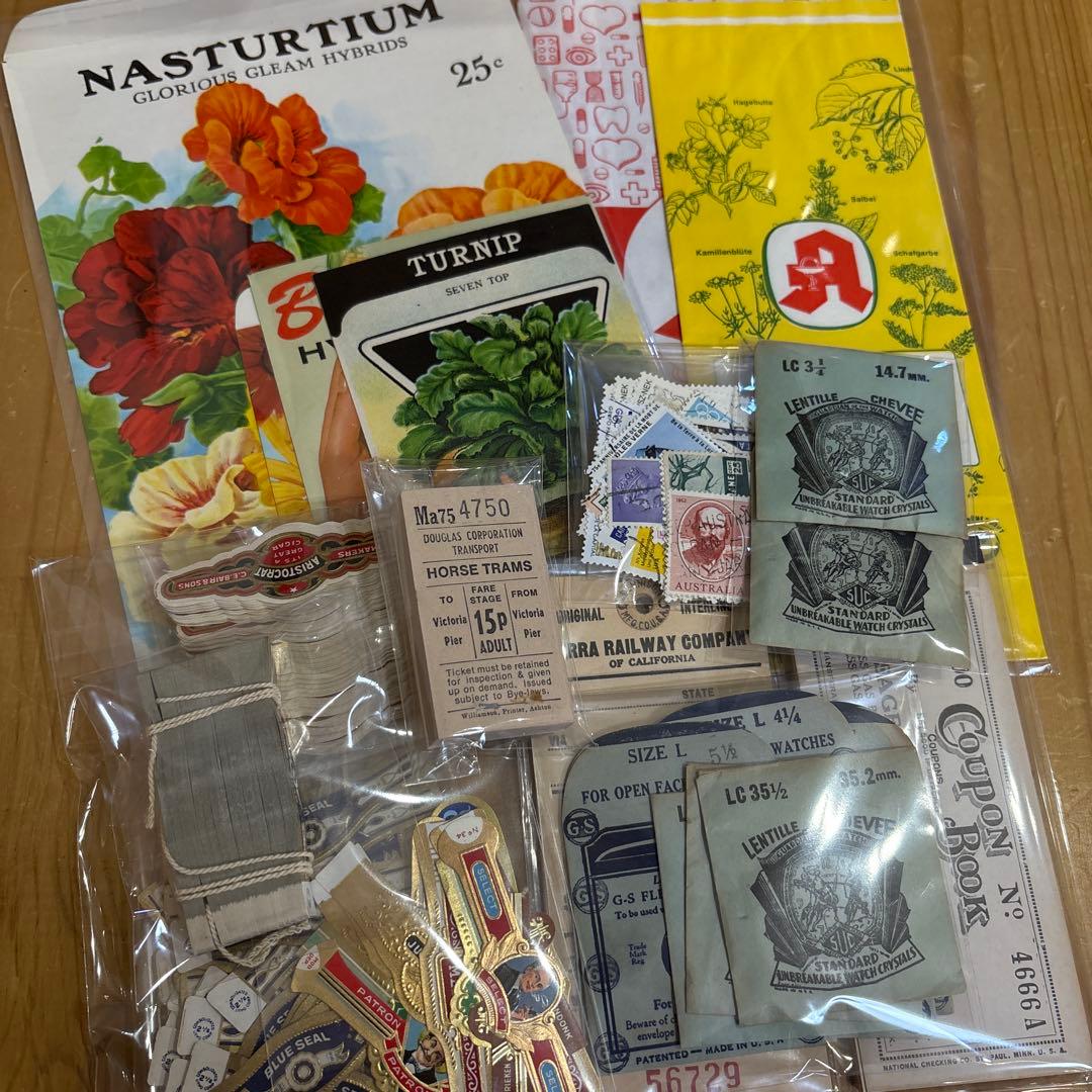 紙もの断捨離セット特大