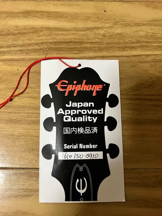 エピフォンカジノと専用ハードケース（鍵付き）