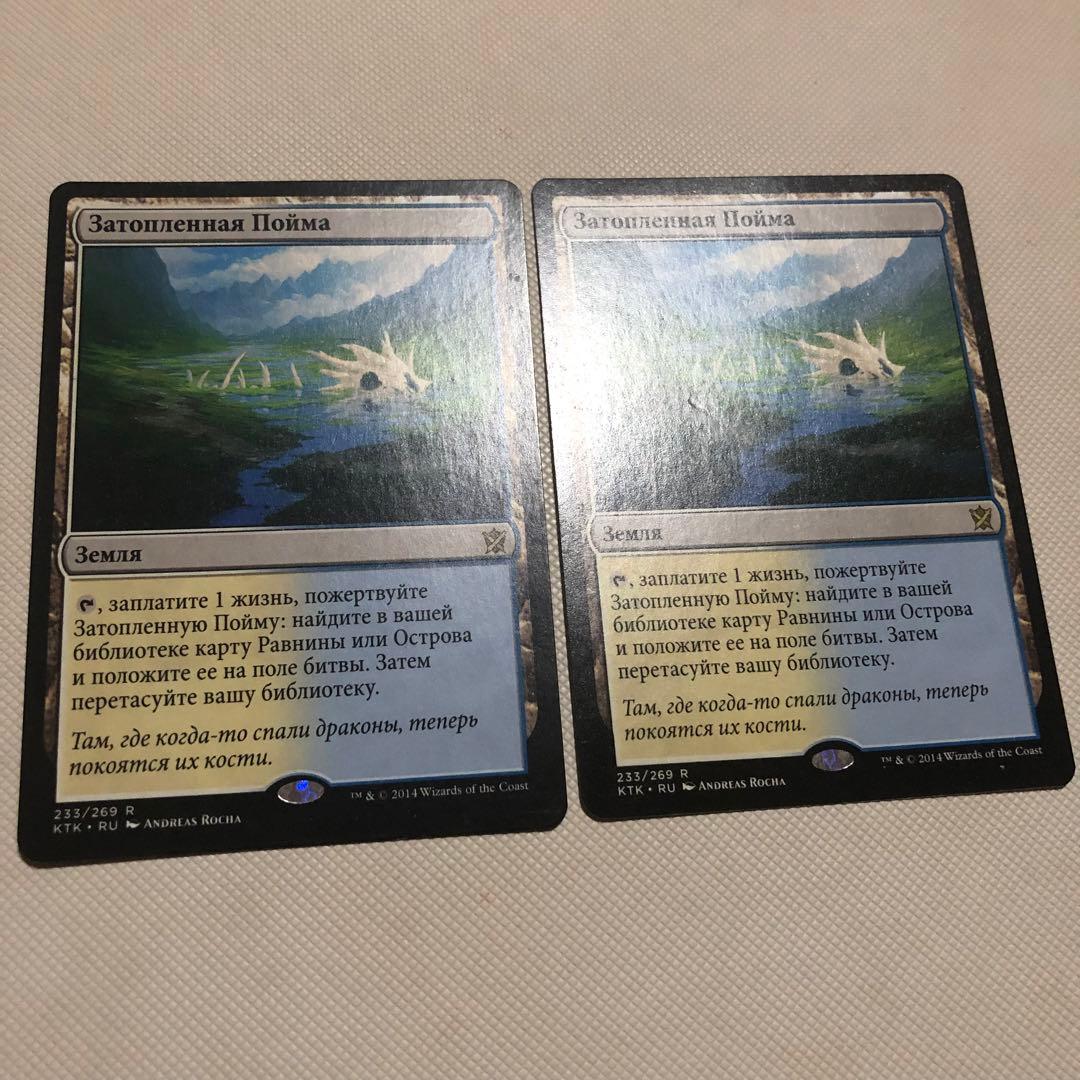 霧深い雨林 溢れかえる岸辺 汚染された三角州 mtg ロシア語 フェッチランド